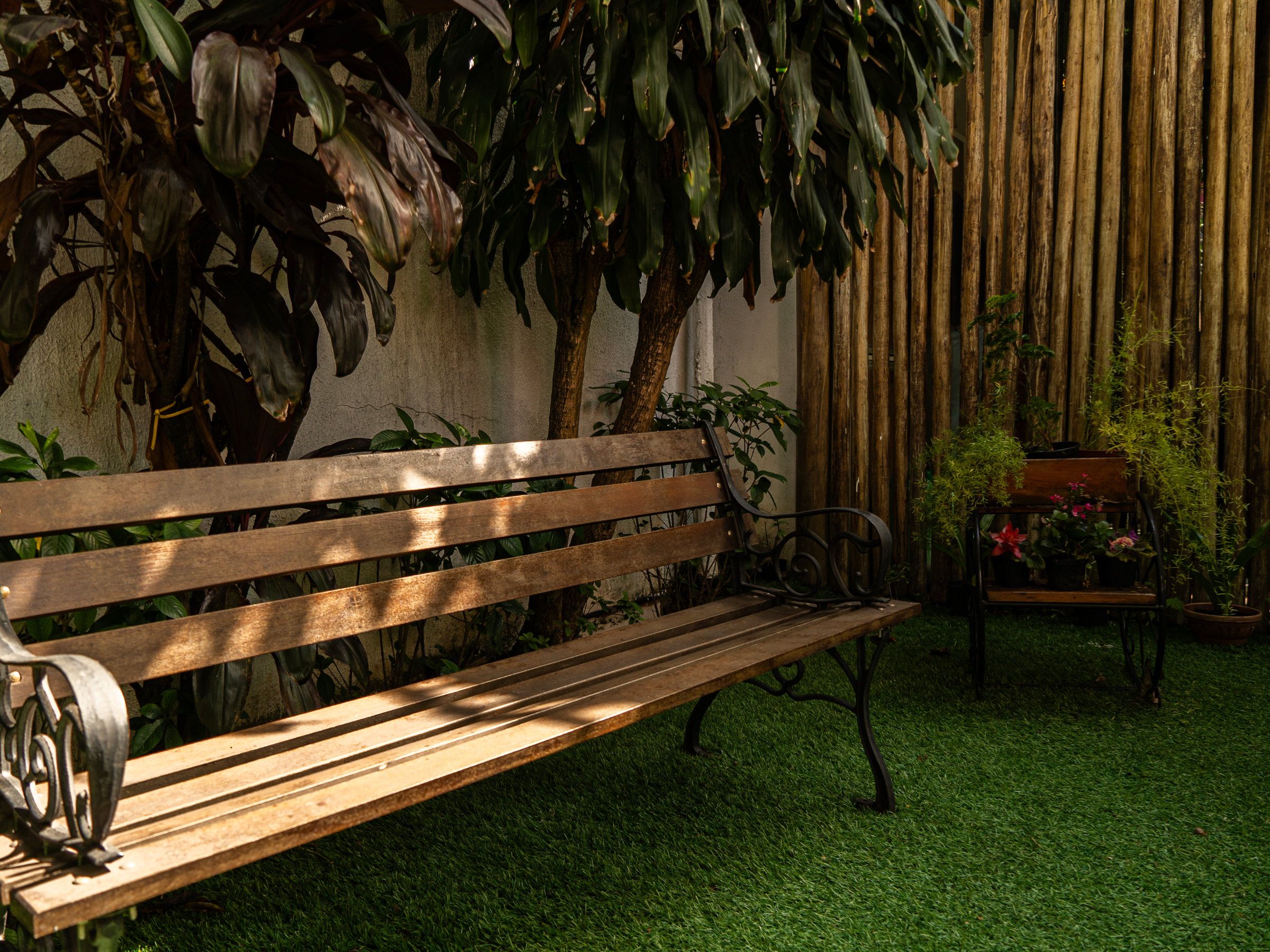Banco de madeira no jardim da La Vie, diante de uma cerca de bambu
