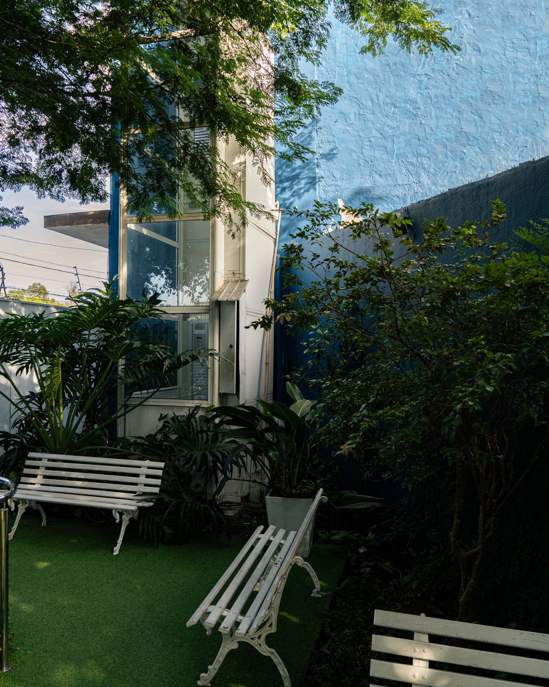 Bancos brancos e plantas junto ao muro azul do Residencial Espaço Saúde
