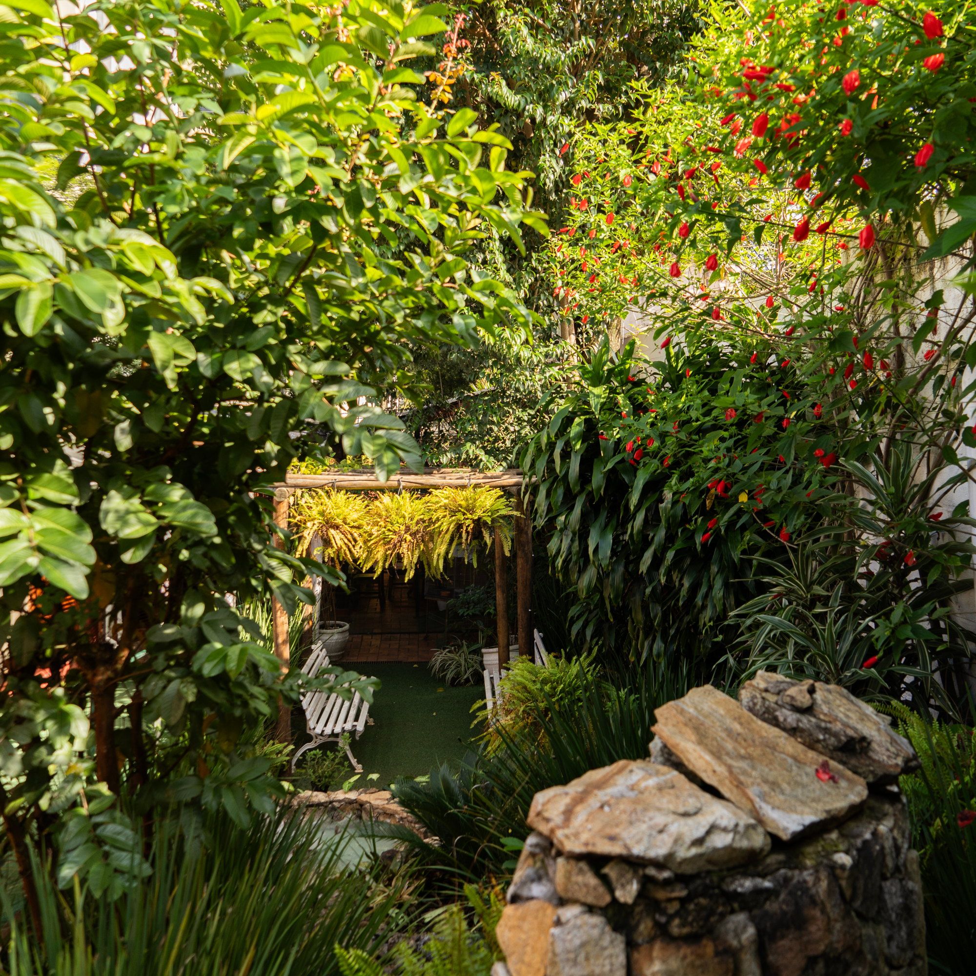 Jardim da Tsuru com folhagens, flores vermelhas e uma mureta de pedra, com o pergolado ao fundo