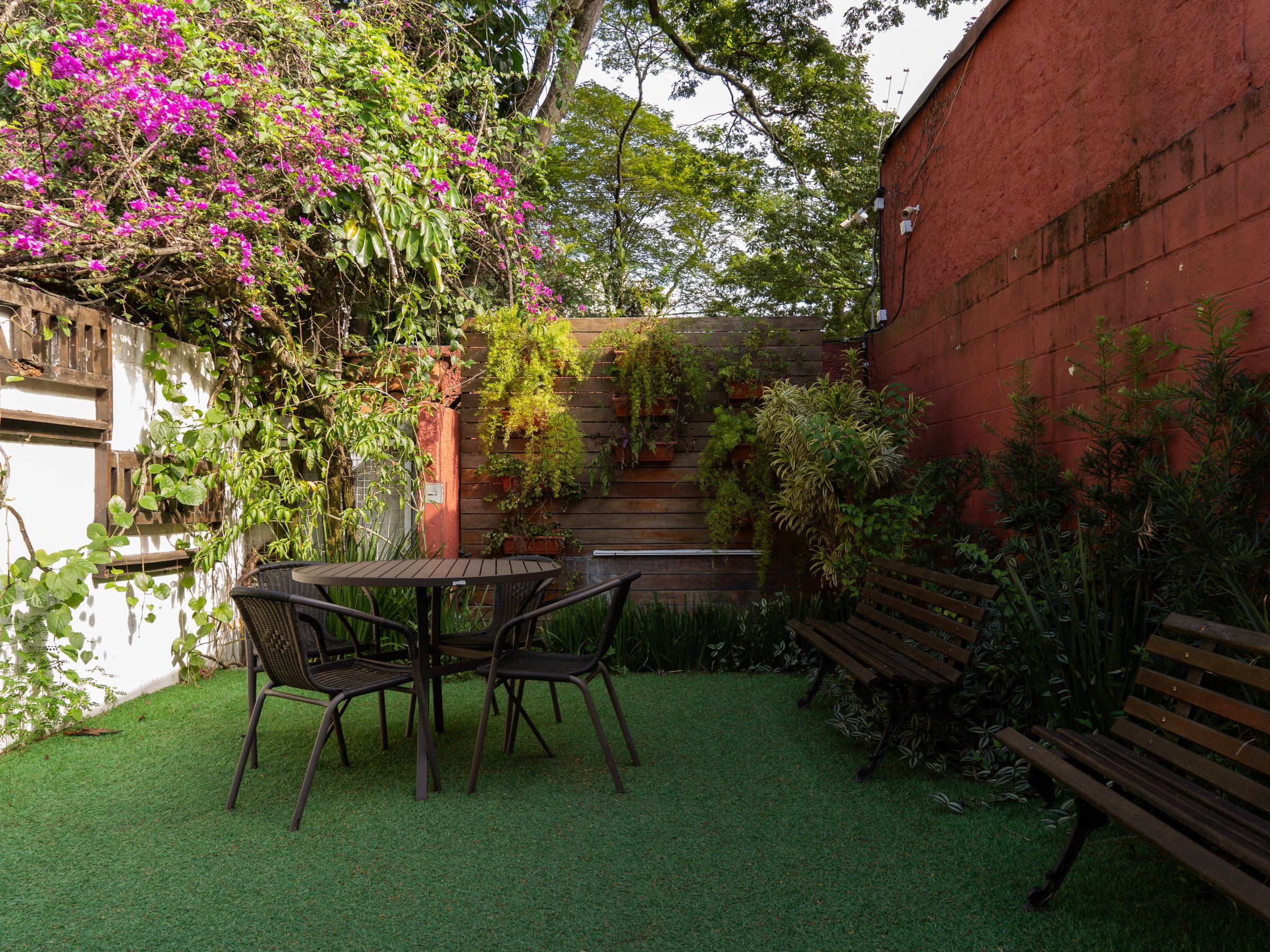 Pátio da Tsuru com mesa, cadeiras e uma bougainvillea florida