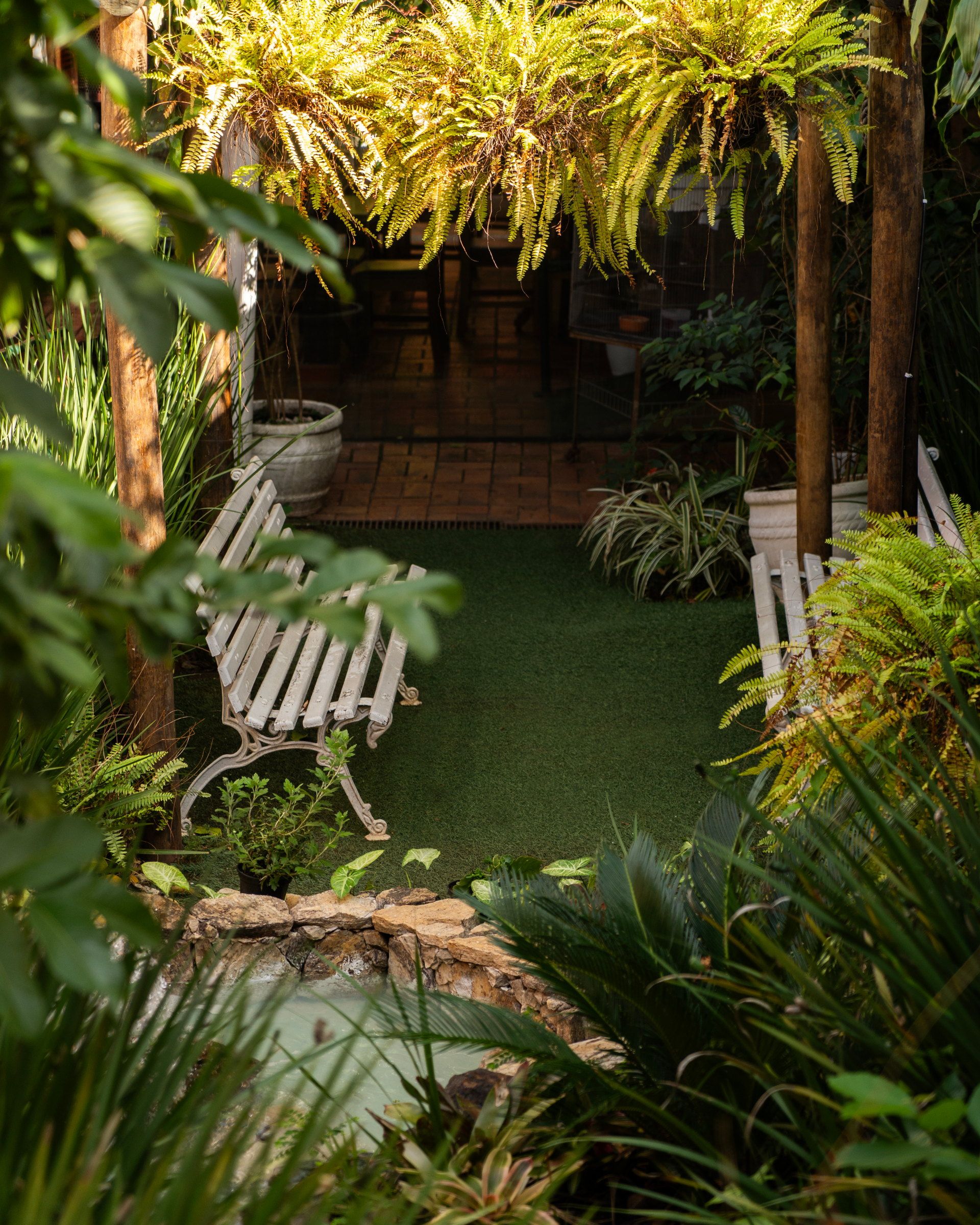 Caminho do jardim da Tsuru sob o pergolado, com banco e plantas